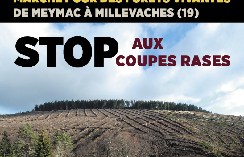 MARCHE POUR DESFORÊTS VIVANTES DEMEYMAC À MILLEVACHES